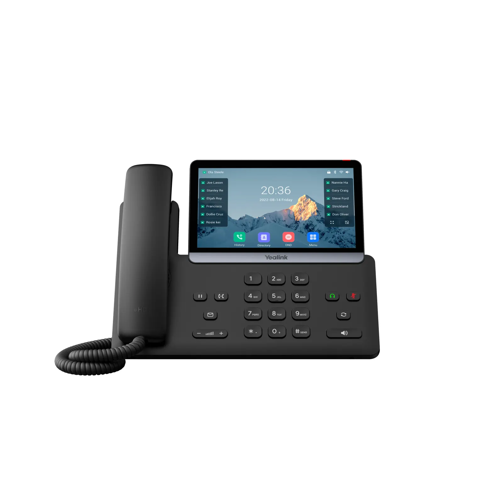IP Phones